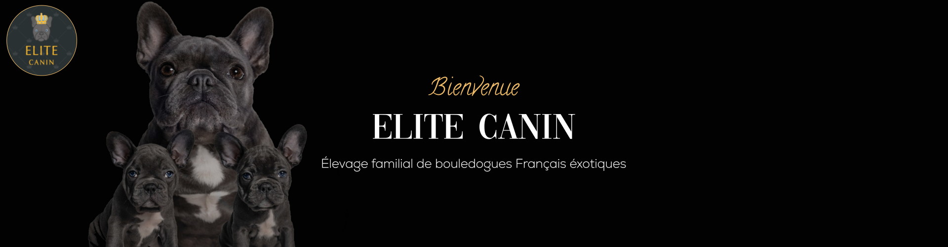 elite Canin Paris (75001) en Mayenne