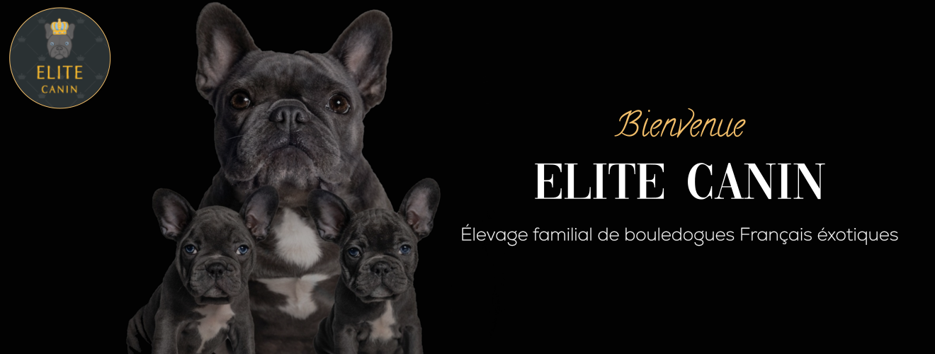 elite Canin Paris (75001) en Mayenne