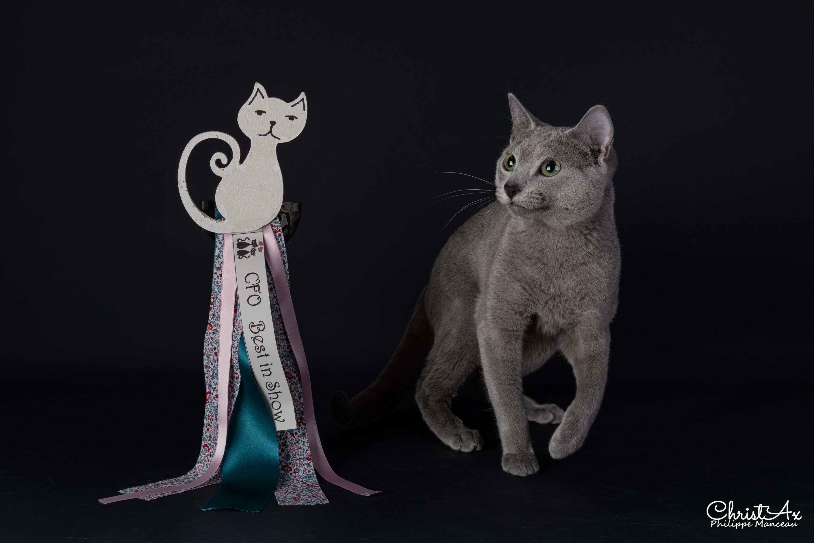 Photo de Vulcan