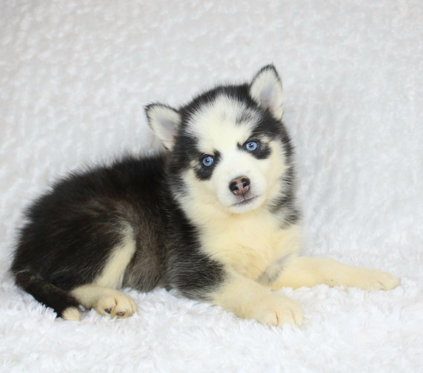 Photo de NALA