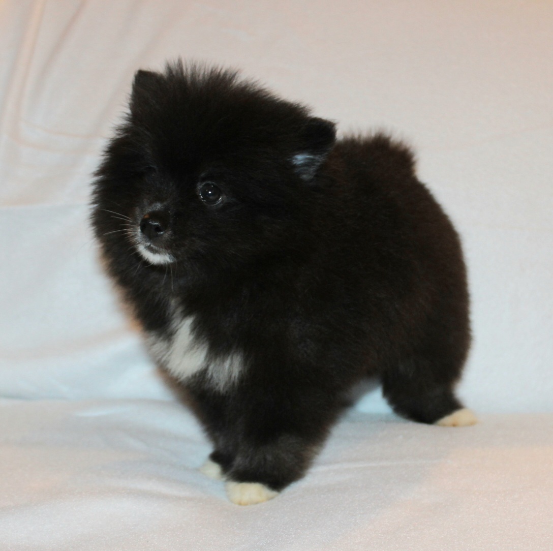 Photo de EVE (Réservé)