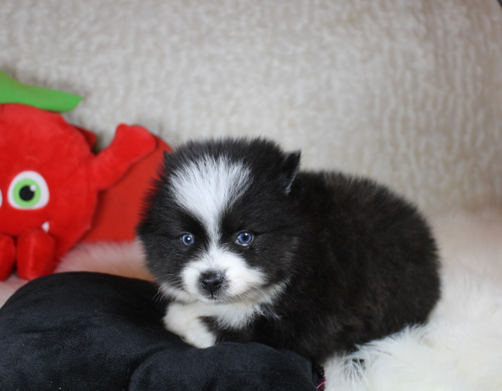 Photo de BIJOUX (Réservé)